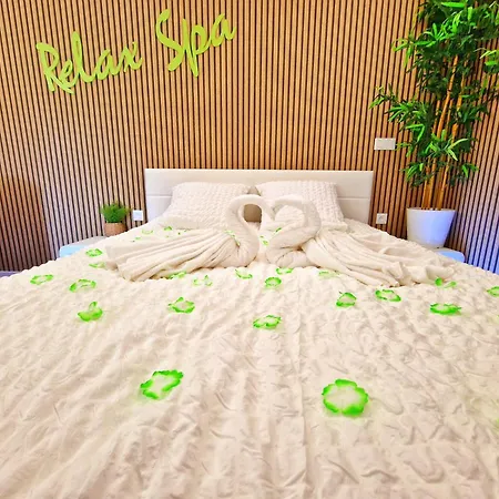 Relax Spa-4 Pers-jacuzzi-parking-jardin-clim-colmar Appartamento *