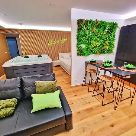 Apartment Relax Spa-4 Pers-jacuzzi-parking-jardin-clim-colmar *