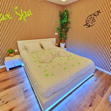 Relax Spa-4 Pers-jacuzzi-parking-jardin-clim-colmar