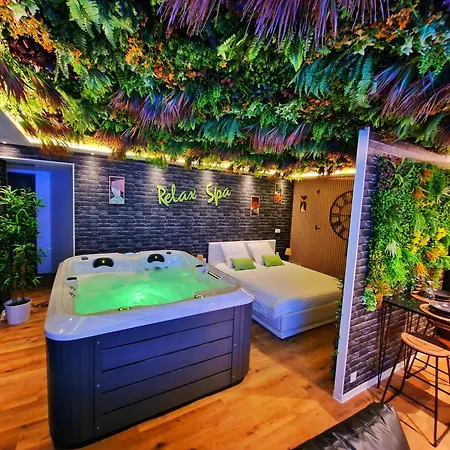 Relax Spa-4 Pers-jacuzzi-parking-jardin-clim-colmar *