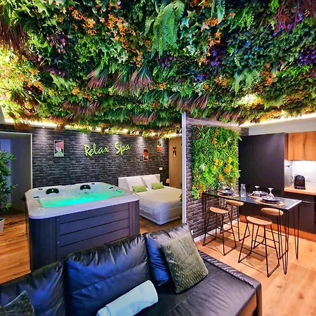 Relax Spa-4 Pers-jacuzzi-parking-jardin-clim-colmar Apartman