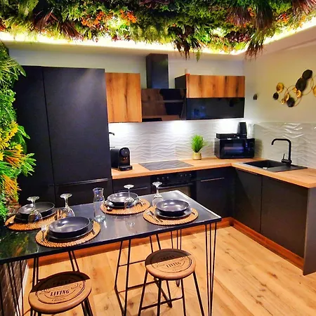 Relax Spa-4 Pers-jacuzzi-parking-jardin-clim-colmar