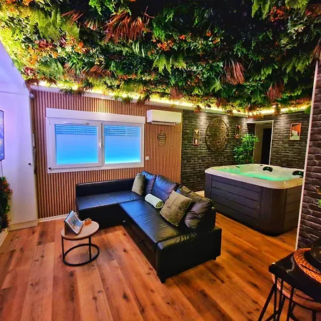 Relax Spa-4 Pers-jacuzzi-parking-jardin-clim-colmar Apartman