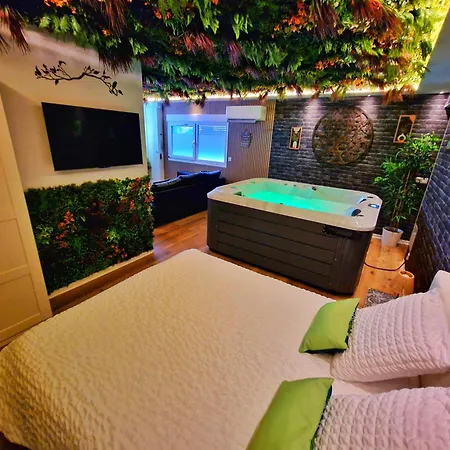 Apartman Relax Spa-4 Pers-jacuzzi-parking-jardin-clim-colmar