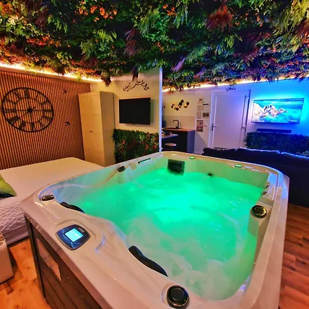 Apartman Relax Spa-4 Pers-jacuzzi-parking-jardin-clim-colmar