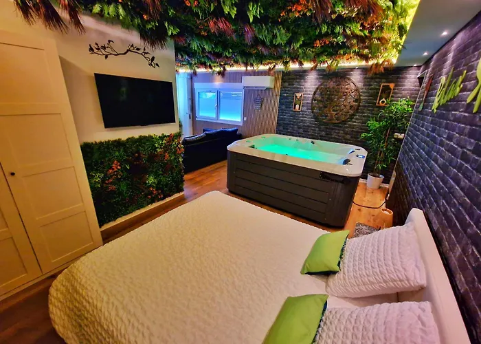 Apartamento Relax Spa-4 Pers-jacuzzi-parking-jardin-clim-colmar