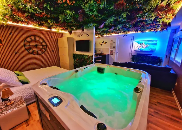 Apartamento Relax Spa-4 Pers-jacuzzi-parking-jardin-clim-colmar