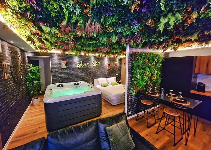 Apartamento Relax Spa-4 Pers-jacuzzi-parking-jardin-clim-colmar *